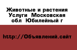 Животные и растения Услуги. Московская обл.,Юбилейный г.